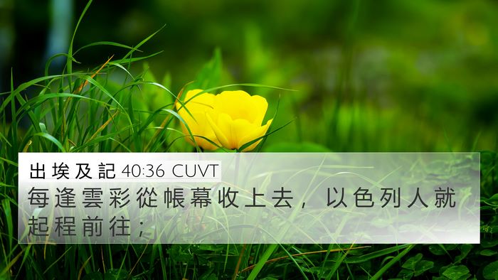 出 埃 及 記 40:36 CUVT 4K Wallpaper - 每 逢 雲 彩 從 帳 幕 收 上 去 ， 以 - 4K Wallpaper Bible Verse