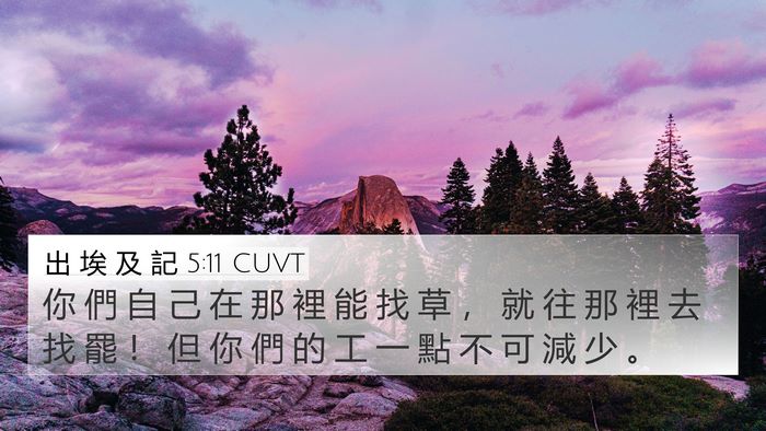 出 埃 及 記 5:11 CUVT 4K Wallpaper - 你 們 自 己 在 那 裡 能 找 草 ， 就 - 4K Wallpaper Bible Verse