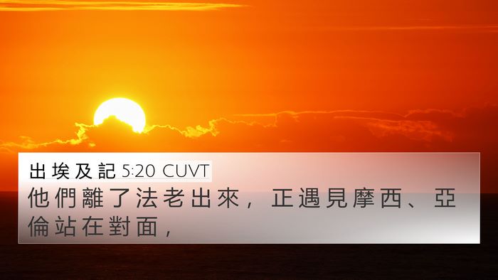 出 埃 及 記 5:20 CUVT 4K Wallpaper - 他 們 離 了 法 老 出 來 ， 正 遇 見 - 4K Wallpaper Bible Verse
