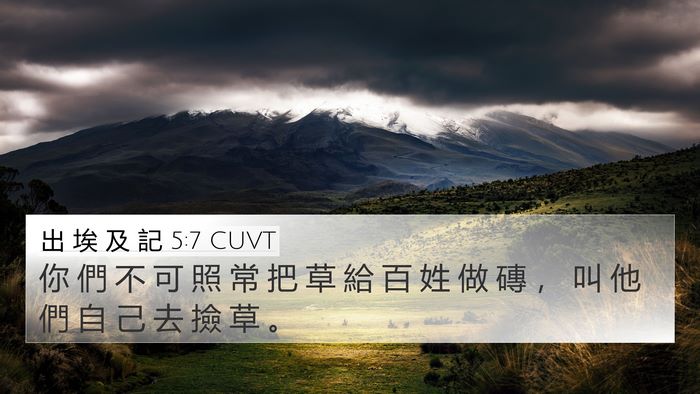 出 埃 及 記 5:7 CUVT 4K Wallpaper - 你 們 不 可 照 常 把 草 給 百 姓 做 - 4K Wallpaper Bible Verse