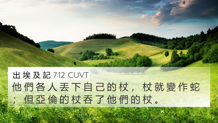 出 埃 及 記 7:12 CUVT 4K Wallpaper - 他 們 各 人 丟 下 自 己 的 杖 ， 杖 - 4K Wallpaper Bible Verse