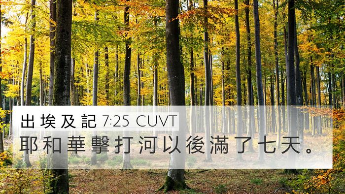 出 埃 及 記 7:25 CUVT 4K Wallpaper - 耶 和 華 擊 打 河 以 後 滿 了 七 天 - 4K Wallpaper Bible Verse