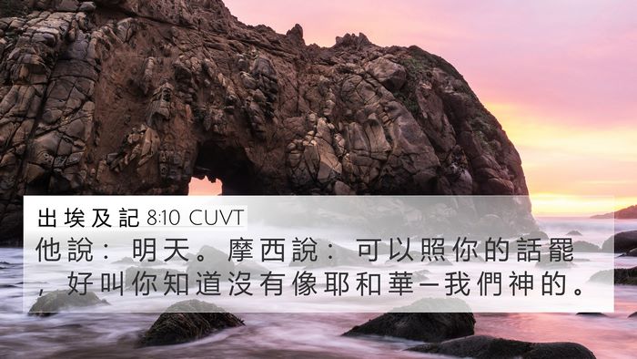 出 埃 及 記 8:10 CUVT Bible Verse Image