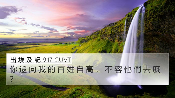 出 埃 及 記 9:17 CUVT Bible Verse Image