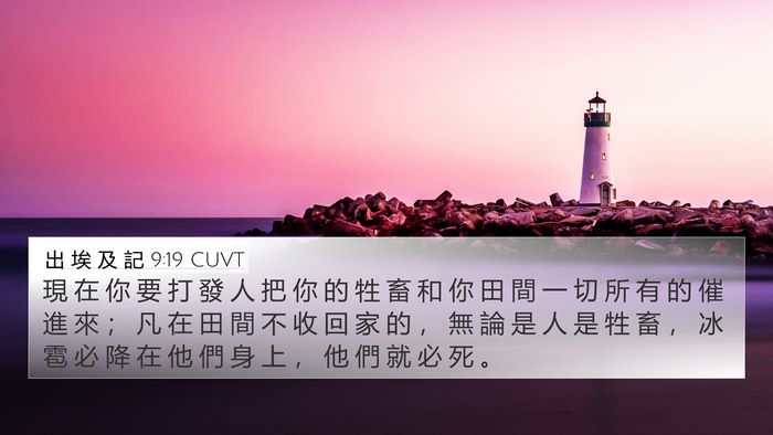 出 埃 及 記 9:19 CUVT Bible Verse Image
