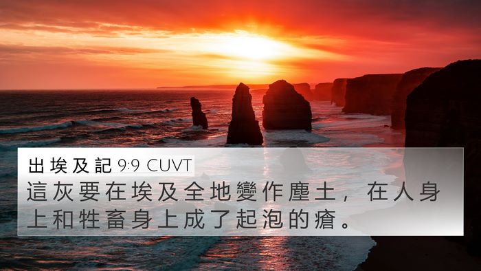 出 埃 及 記 9:9 CUVT Bible Verse Image