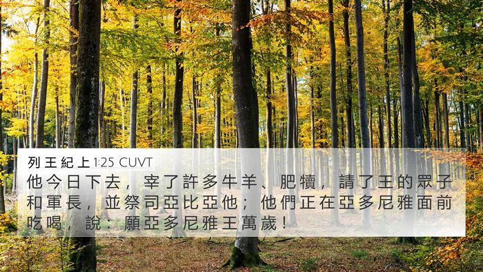 列 王 紀 上 1:25 CUVT Bible Verse Image