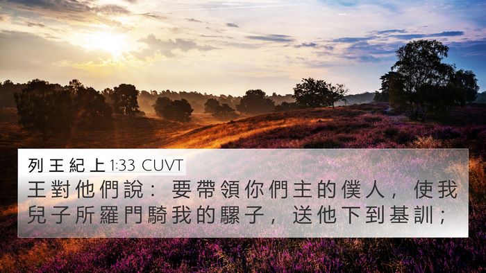 列 王 紀 上 1:33 CUVT Bible Verse Image