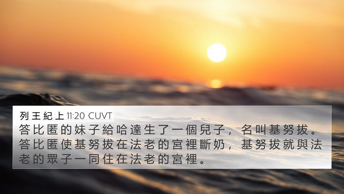 列 王 紀 上 11:20 CUVT 4K Wallpaper - 答 比 匿 的 妹 子 給 哈 達 生 了 一 - 4K Wallpaper Bible Verse