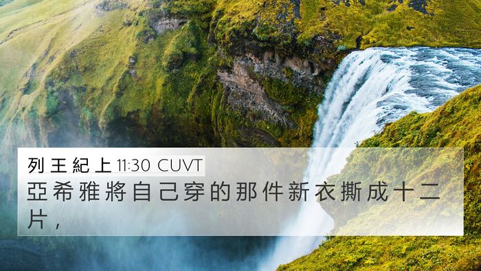 列 王 紀 上 11:30 CUVT Bible Verse Image