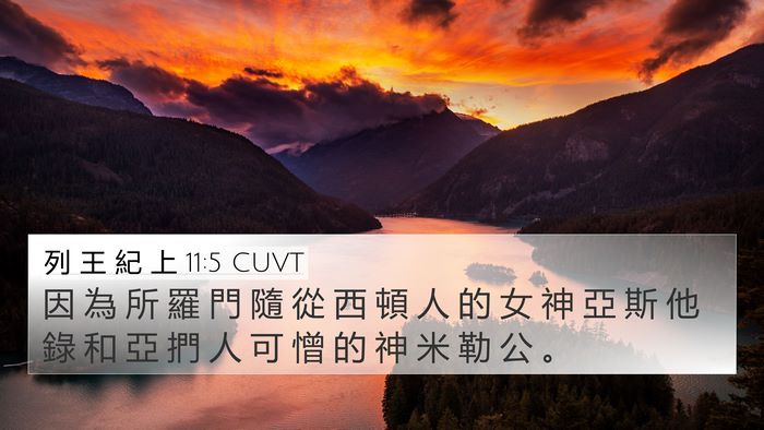 列 王 紀 上 11:5 CUVT Bible Verse Image