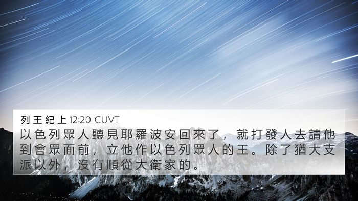 列 王 紀 上 12:20 CUVT Bible Verse Image