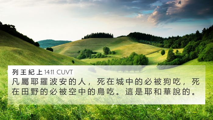 列 王 紀 上 14:11 CUVT 4K Wallpaper - 凡 屬 耶 羅 波 安 的 人 ， 死 在 城 - 4K Wallpaper Bible Verse