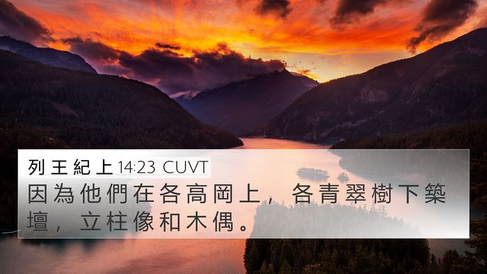 列 王 紀 上 14:23 CUVT Bible Verse Image