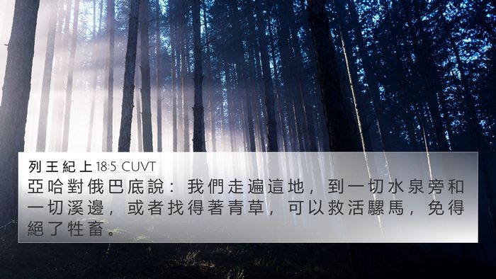 列 王 紀 上 18:5 CUVT Bible Verse Image