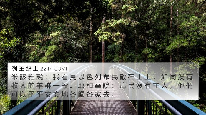 列 王 紀 上 22:17 CUVT Bible Verse Image