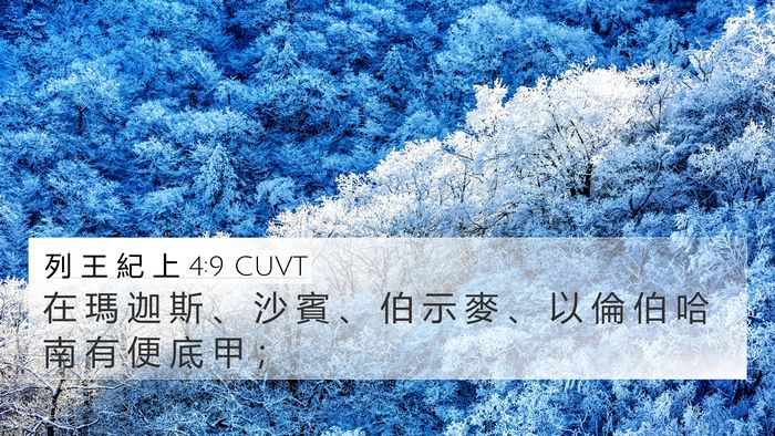 列 王 紀 上 4:9 CUVT Bible Verse Image