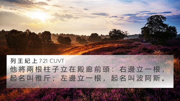 列 王 紀 上 7:21 CUVT Bible Verse Image