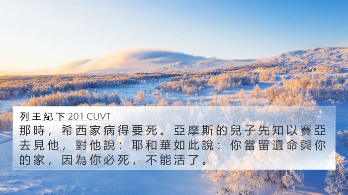 列 王 紀 下 20:1 CUVT Bible Verse Image