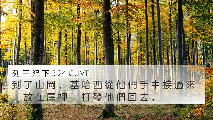 列 王 紀 下 5:24 CUVT Bible Verse Image