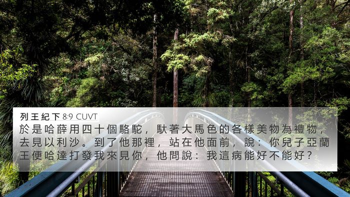 列 王 紀 下 8:9 CUVT Bible Verse Image