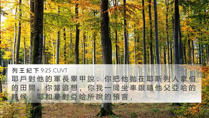 列 王 紀 下 9:25 CUVT Bible Verse Image