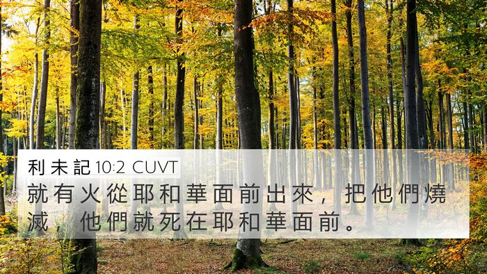利 未 記 10:2 CUVT 4K Wallpaper - 就 有 火 從 耶 和 華 面 前 出 來 ， - 4K Wallpaper Bible Verse