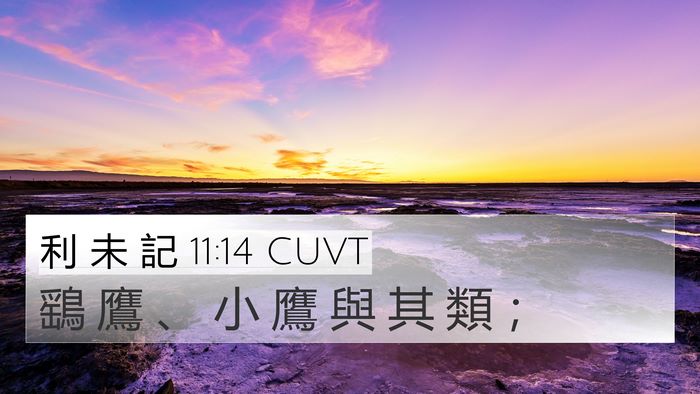 利 未 記 11:14 CUVT 4K Wallpaper - 鷂 鷹 、 小 鷹 與 其 類 - 4K Wallpaper Bible Verse