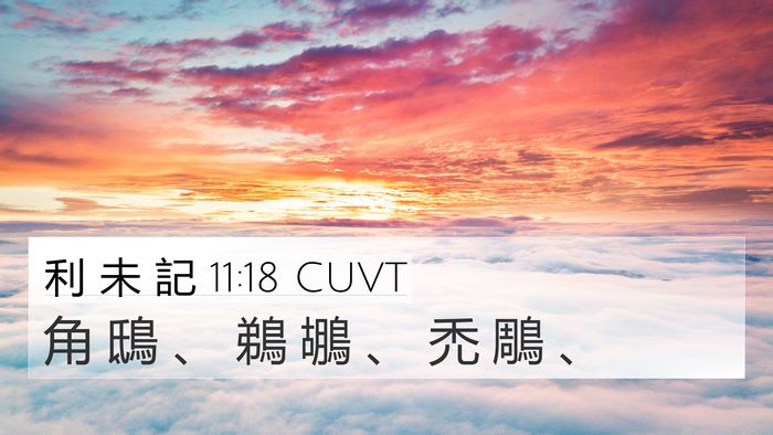 利 未 記 11:18 CUVT 4K Wallpaper - 角 鴟 、 鵜 鶘 、 禿 鵰 - 4K Wallpaper Bible Verse