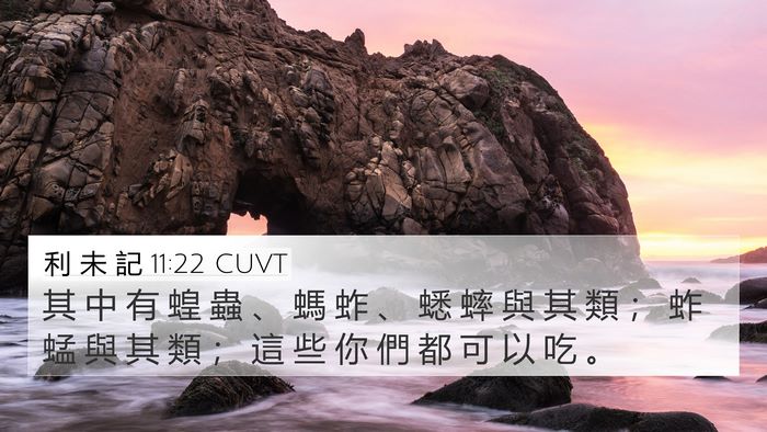 利 未 記 11:22 CUVT 4K Wallpaper - 其 中 有 蝗 蟲 、 螞 蚱 、 蟋 蟀 與 - 4K Wallpaper Bible Verse