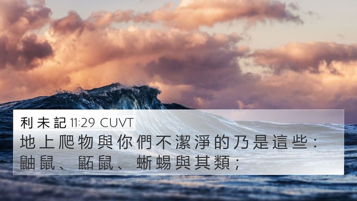 利 未 記 11:29 CUVT 4K Wallpaper - 地 上 爬 物 與 你 們 不 潔 淨 的 乃 - 4K Wallpaper Bible Verse