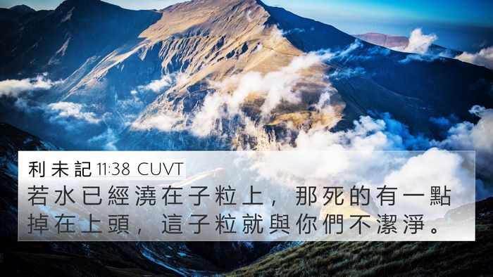 利 未 記 11:38 CUVT Bible Verse Image