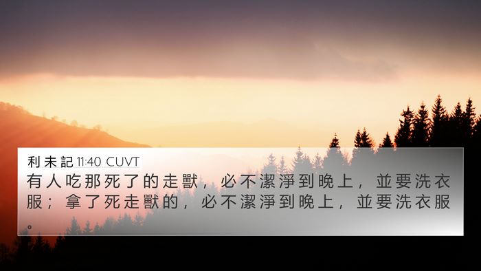 利 未 記 11:40 CUVT Bible Verse Image