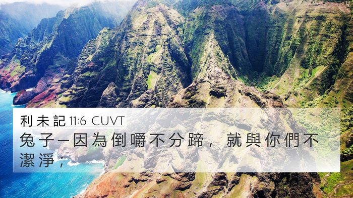利 未 記 11:6 CUVT 4K Wallpaper - 兔 子 ─ 因 為 倒 嚼 不 分 蹄 ， 就 - 4K Wallpaper Bible Verse