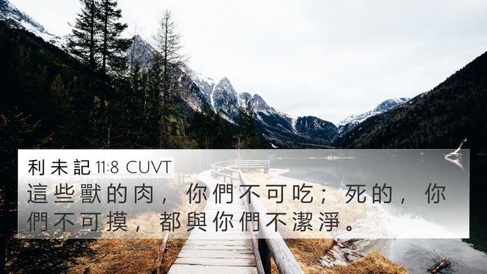 利 未 記 11:8 CUVT 4K Wallpaper - 這 些 獸 的 肉 ， 你 們 不 可 吃 ； - 4K Wallpaper Bible Verse