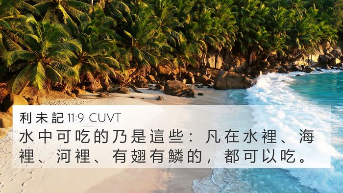 利 未 記 11:9 CUVT 4K Wallpaper - 水 中 可 吃 的 乃 是 這 些 ： 凡 在 - 4K Wallpaper Bible Verse