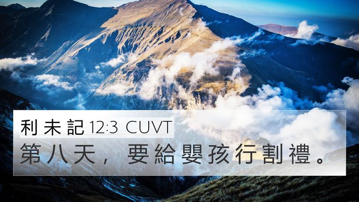 利 未 記 12:3 CUVT Bible Verse Image