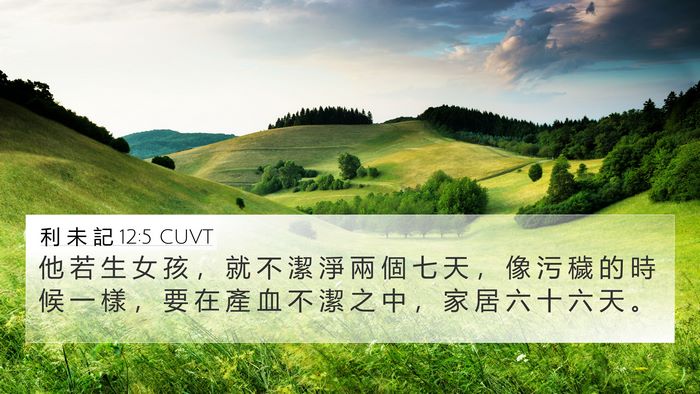 利 未 記 12:5 CUVT 4K Wallpaper - 他 若 生 女 孩 ， 就 不 潔 淨 兩 個 - 4K Wallpaper Bible Verse