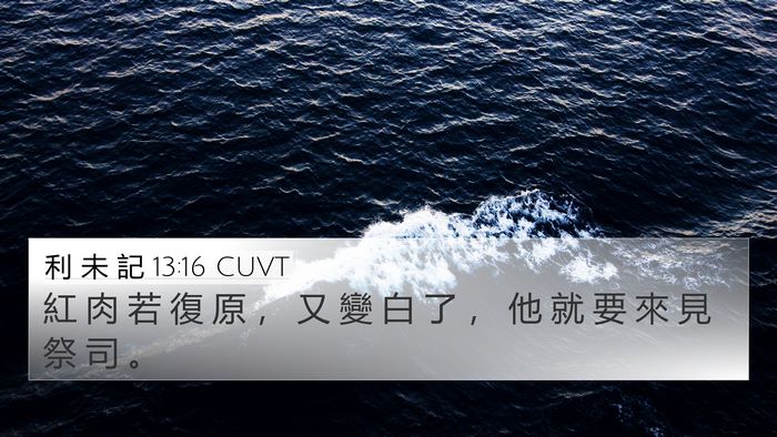 利 未 記 13:16 CUVT 4K Wallpaper - 紅 肉 若 復 原 ， 又 變 白 了 ， 他 - 4K Wallpaper Bible Verse