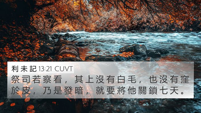 利 未 記 13:21 CUVT 4K Wallpaper - 祭 司 若 察 看 ， 其 上 沒 有 白 毛 - 4K Wallpaper Bible Verse