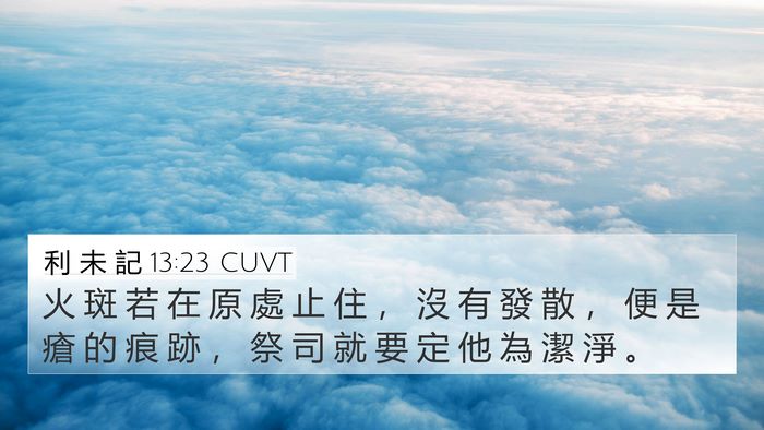 利 未 記 13:23 CUVT 4K Wallpaper - 火 斑 若 在 原 處 止 住 ， 沒 有 發 - 4K Wallpaper Bible Verse