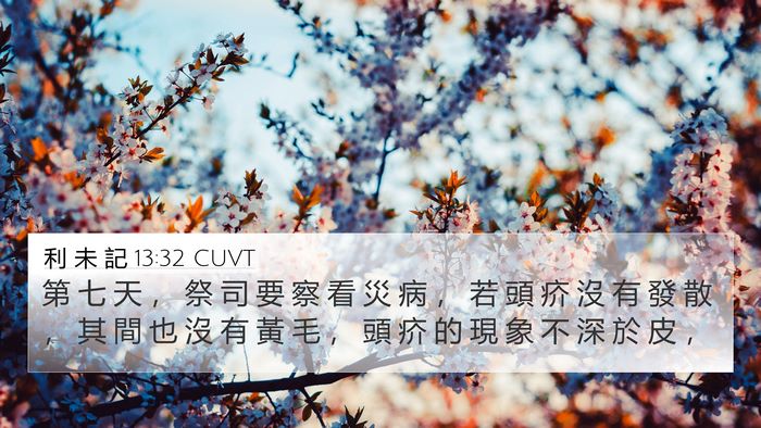 利 未 記 13:32 CUVT 4K Wallpaper - 第 七 天 ， 祭 司 要 察 看 災 病 ， - 4K Wallpaper Bible Verse
