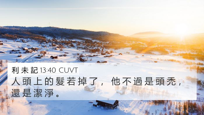 利 未 記 13:40 CUVT 4K Wallpaper - 人 頭 上 的 髮 若 掉 了 ， 他 不 過 - 4K Wallpaper Bible Verse