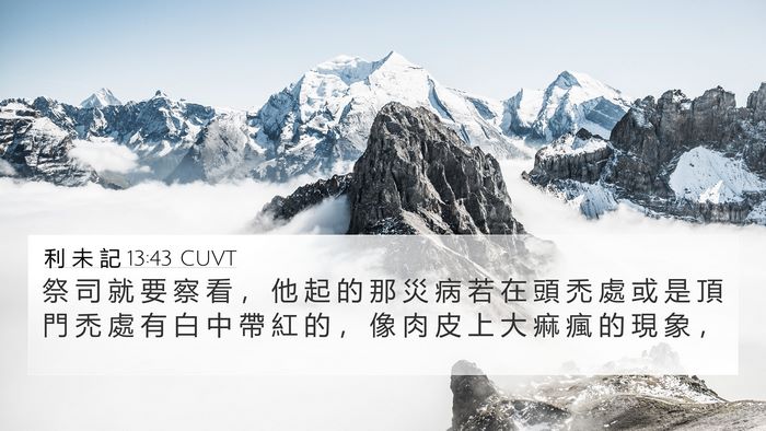 利 未 記 13:43 CUVT 4K Wallpaper - 祭 司 就 要 察 看 ， 他 起 的 那 災 - 4K Wallpaper Bible Verse