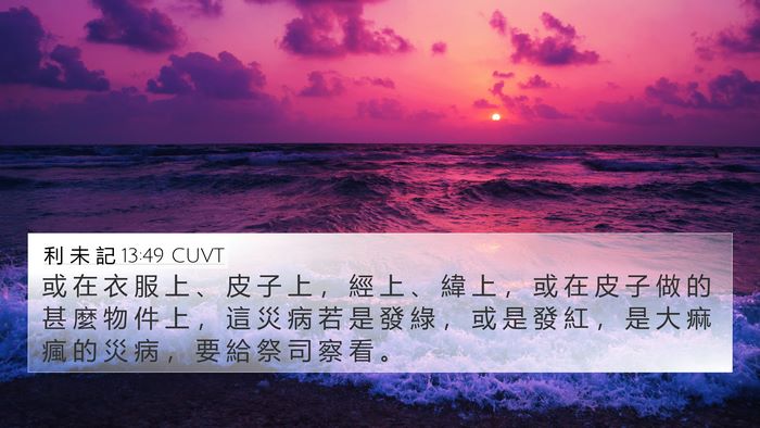 利 未 記 13:49 CUVT 4K Wallpaper - 或 在 衣 服 上 、 皮 子 上 ， 經 上 - 4K Wallpaper Bible Verse