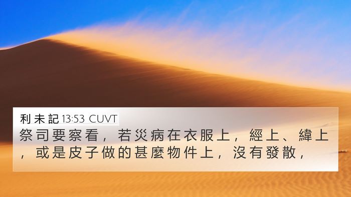 利 未 記 13:53 CUVT 4K Wallpaper - 祭 司 要 察 看 ， 若 災 病 在 衣 服 - 4K Wallpaper Bible Verse