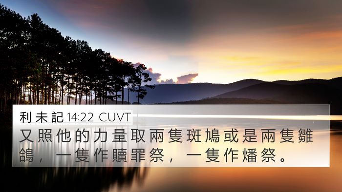 利 未 記 14:22 CUVT Bible Verse Image