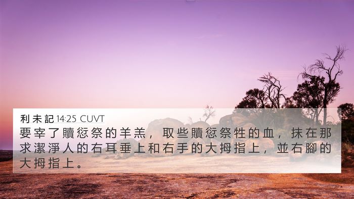 利 未 記 14:25 CUVT 4K Wallpaper - 要 宰 了 贖 愆 祭 的 羊 羔 ， 取 些 - 4K Wallpaper Bible Verse