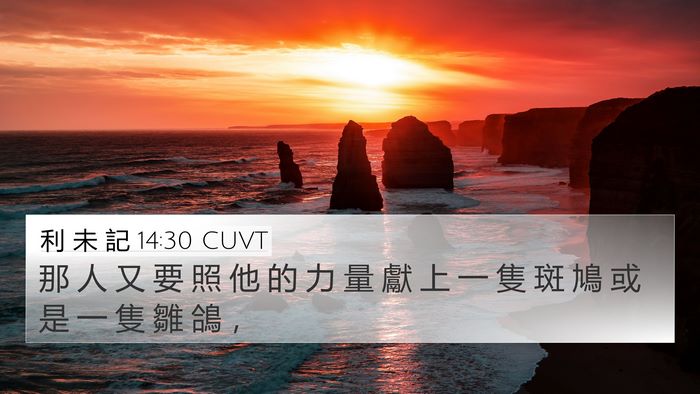 利 未 記 14:30 CUVT Bible Verse Image