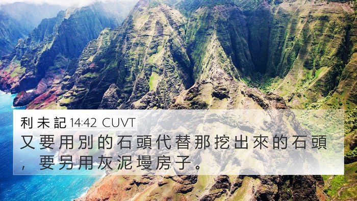 利 未 記 14:42 CUVT 4K Wallpaper - 又 要 用 別 的 石 頭 代 替 那 挖 出 - 4K Wallpaper Bible Verse